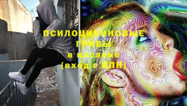 mdma Богородицк